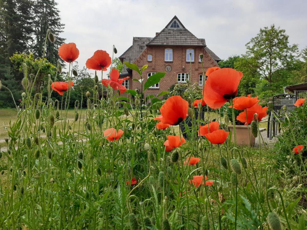 Ferienwohnung Ehemalige Revierfoersterei "Morgensuenn" Kuhstorf 外观 照片